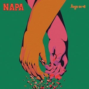 NAPA - Logo Se Vê