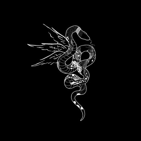 Asa Cobra - Asa à Cobra