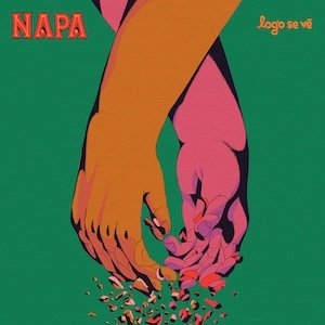 NAPA - Logo Se Vê