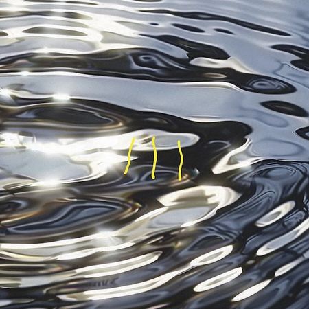 Memória de Peixe - III