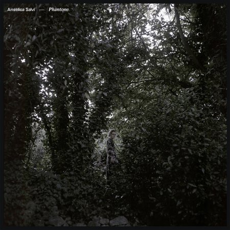 Angélica Salvi - Phantone