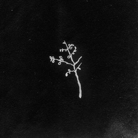 Luís Severo - Incerteza